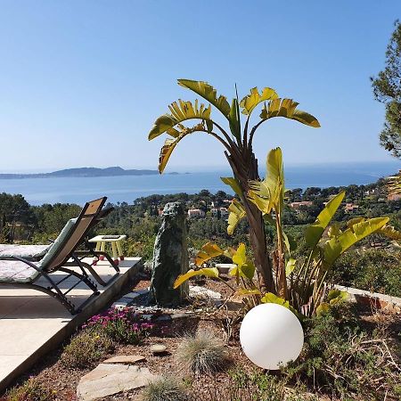 فيلا Pretty House With Sea View On The Hy Res Hyères المظهر الخارجي الصورة